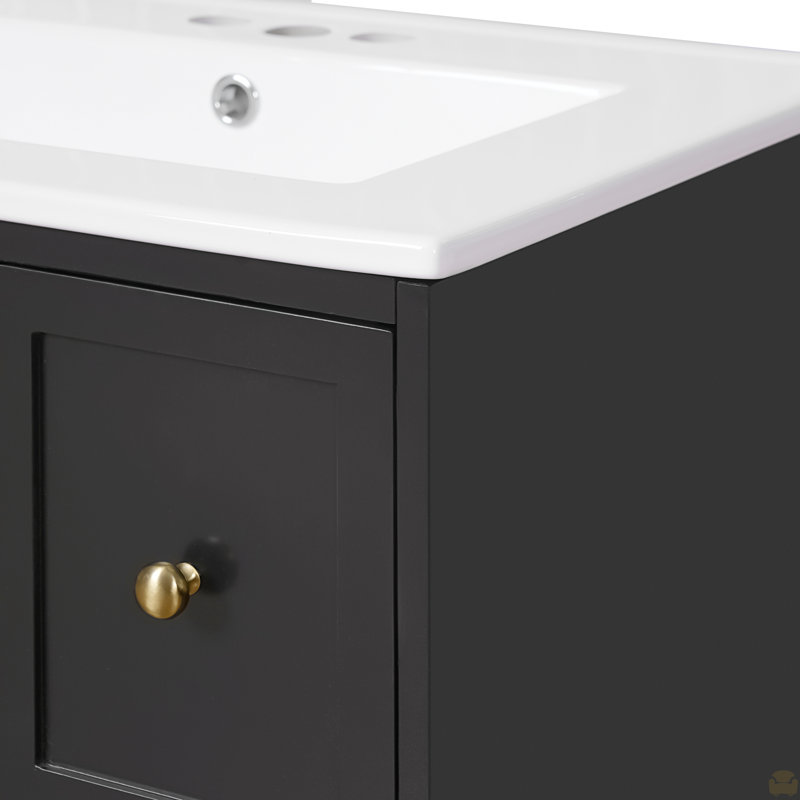 Ensemble de meuble-lavabo mural 24 po avec lavabo en céramique, 2 tiroirs et 1 porte à fermeture en douceur