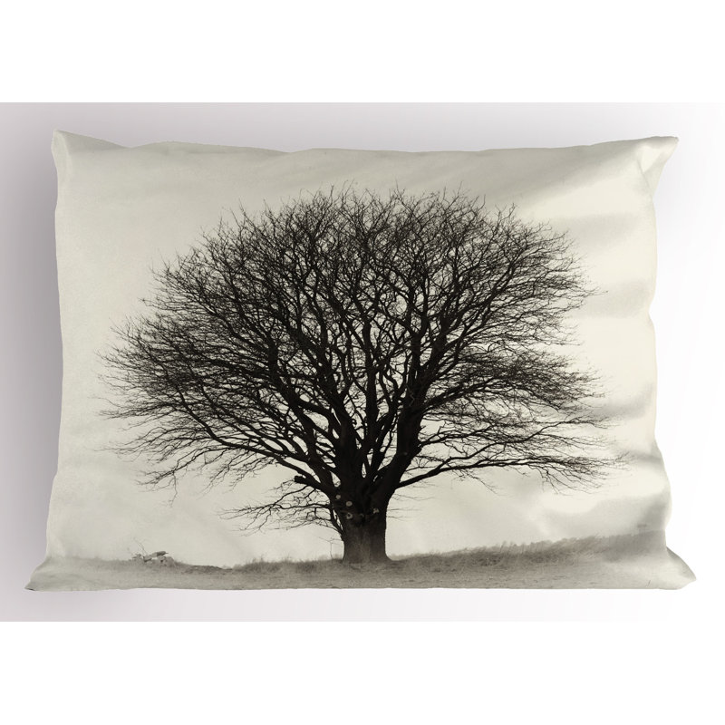 Ensemble de 2 taies décoratives Ambesonne Country - ivoire / gris foncé, H 20 po x l 30 po