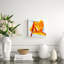 Amber Print-810536443-810536447
