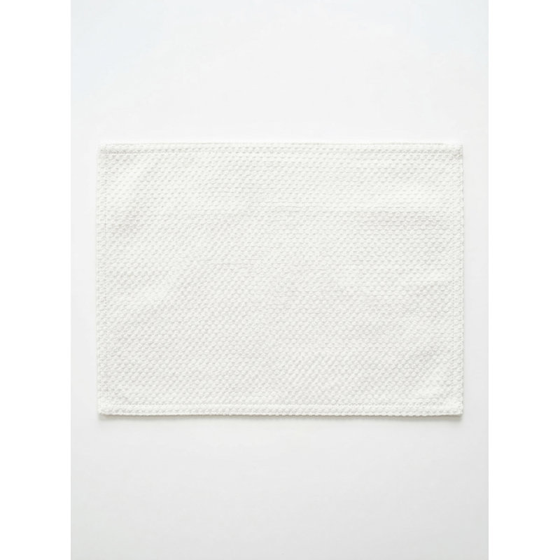 Aqua Blue Shoreline Grid Indoor Outdoor Placemat, White