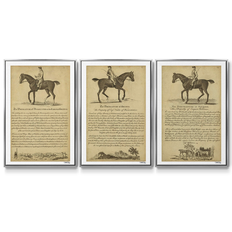 Horse Portraiture IV, ensemble de 3 toiles encadrées, Argent, H 40 po x l 78 po