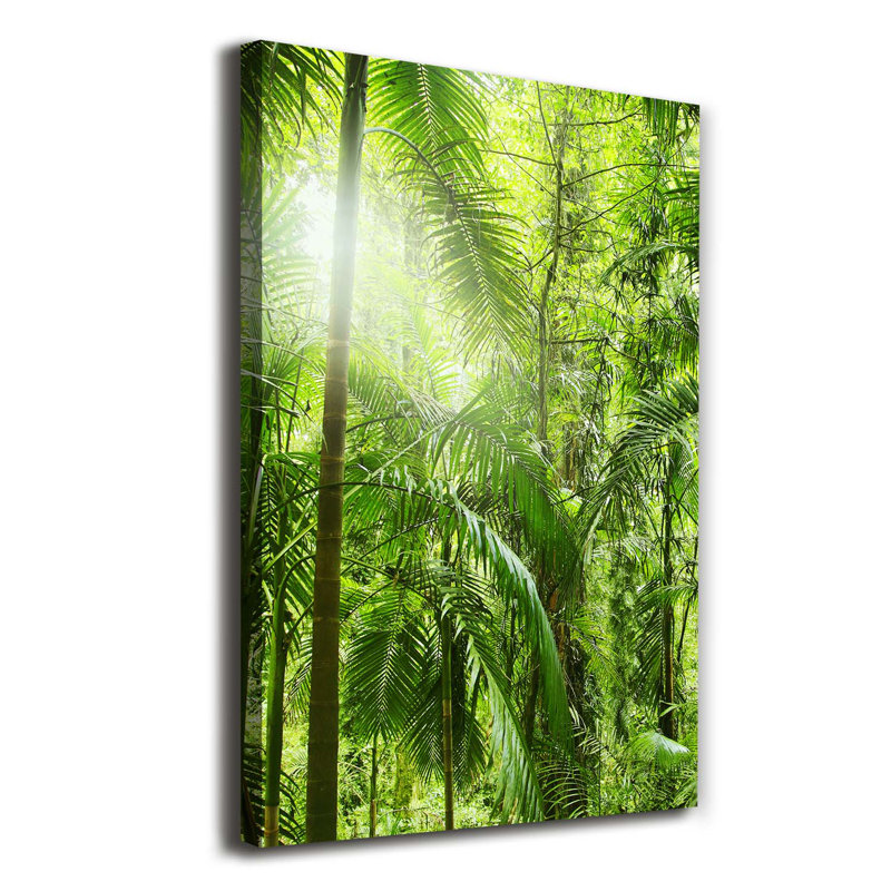 The Rainforest - Wrapped Canvas Print