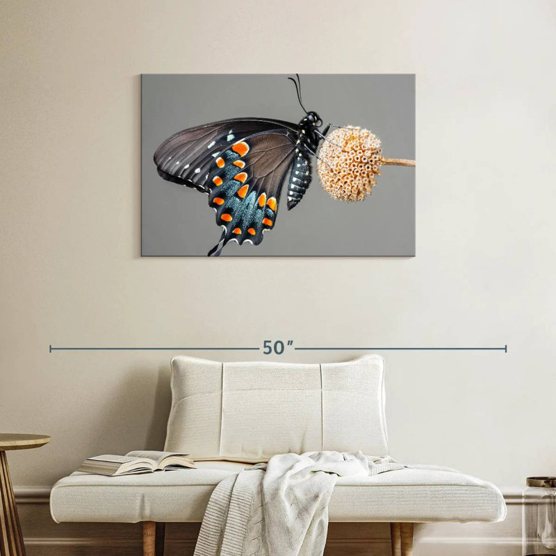 Papillon machaon noir Brampt