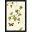 Ivies and Ferns II - Peinture-773136274-773136362