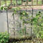 Set of 2 Ornamental Garden Trellis, 203cm H x 56cm W, Vine Support, Black