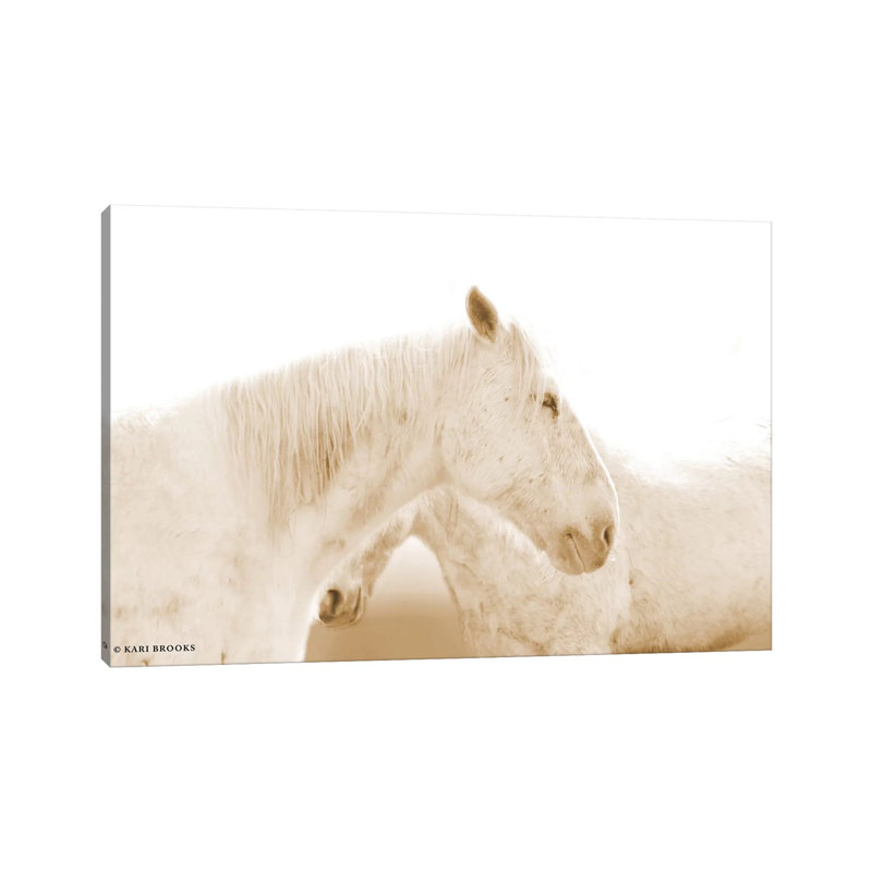 White Out by Kari Brooks - Print on Canvas, Wrapped Canvas, 20.32cm H x 30.48cm W x 1.91cm D