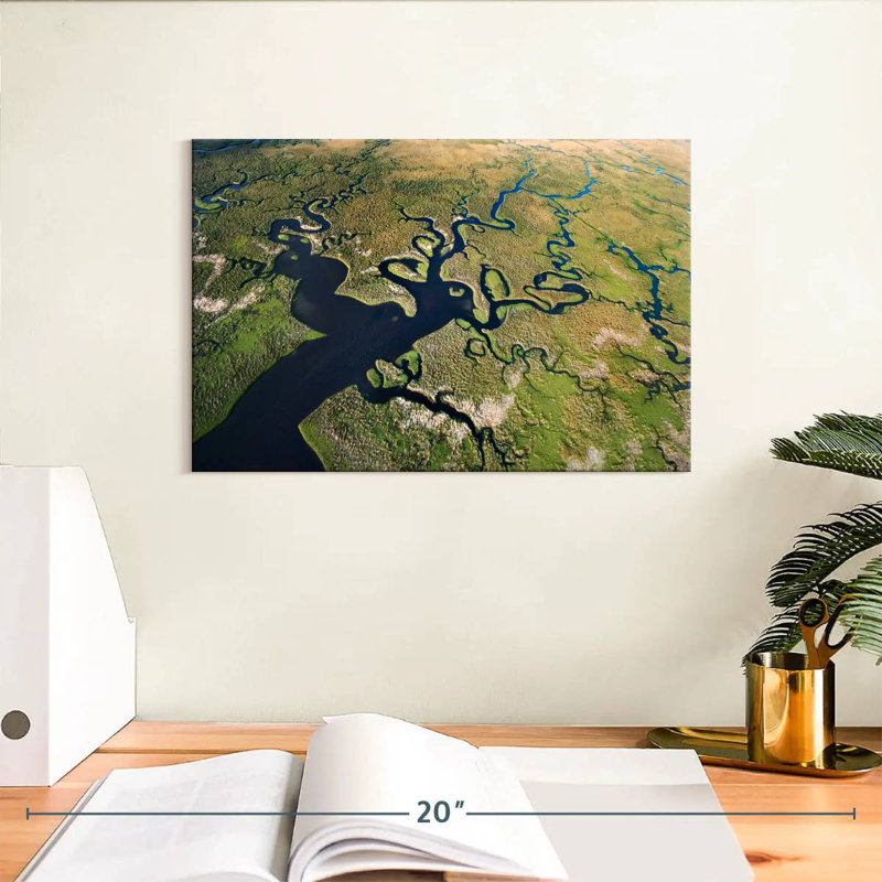 Alvord, Everglades, Floride, H 8 po x l 12 po