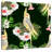 Crowle Tropical Cockatiels-109396231