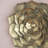 D10x1.4" Succulent Wall Plaque