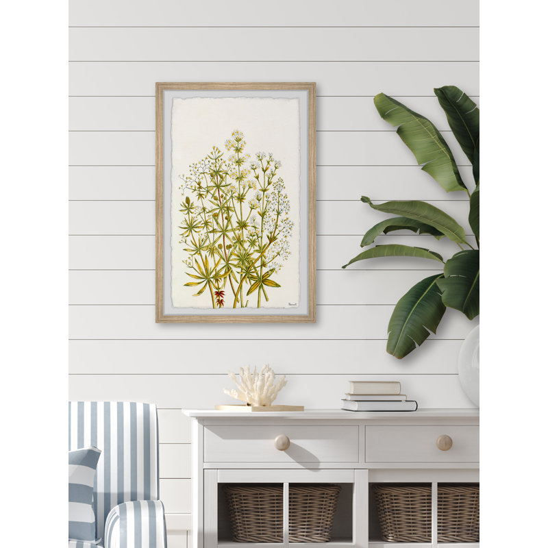 The Flowering Plant - Single Picture Frame Painting, 45cm H x 38cm W x 3.81cm D