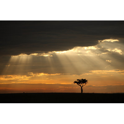 African Sunset 1 Piece Wrapped Canvas Wall Art