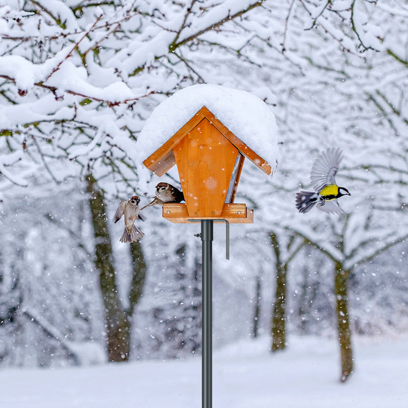 80'' H  Wooden Bird Feeder Station