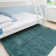 Anastin Solid Colour Shag Area Rug