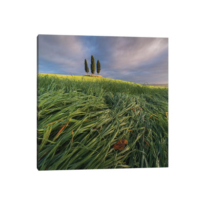 Spring In Tuscany VI by Daniel Kordan - Wrapped Canvas Print