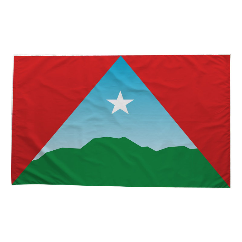 Drapeau de la ville de Caracas - drapeau extérieur, 36" H x 60" W