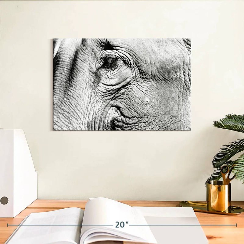 Gros plan sur l'éléphant Brampt, H 8 po x l 12 po