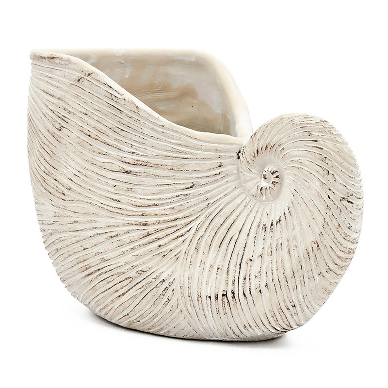 Alariz Textured Beige Finish Sand And Cement Shell Planter For Succulents Bringing Tranquility To Your 11.5X6.7X7.7 Inches In Appearance With Neutral Colorway Herb Arrangement Bathroom
