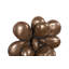 Oviferum Succulent Wall Art, Imperial Bronze