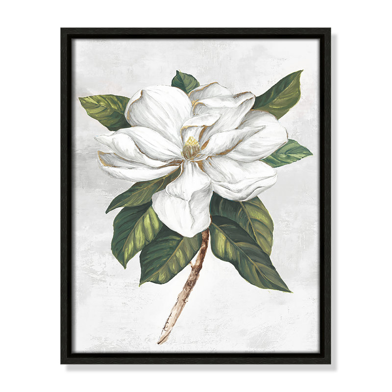 «Pearly Beauty I Print» par Eva Watts, Toile avec cadre, L 12,5 po x H 15,5 po, Espresso Floater