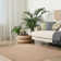 Indoor Rug
