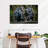 Crowle Chimps And Bonobos-111884649