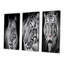 Portrait monochrome d'un tigre blanc VI - ensemble d'art traditionnel de 3 pièces-70079975