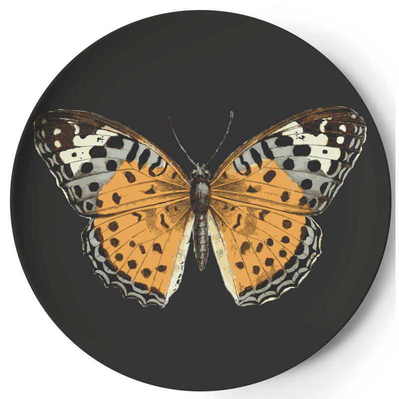 Verres Metamorphosis