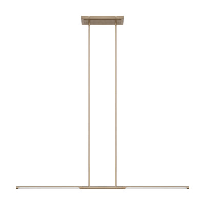 Drexel 48-inch 2-light Champagne Gold 5CCT LED Linear Chandelier