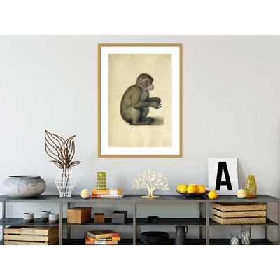 «A Monkey» par Albrecht Dürer, impression giclée sur cadre