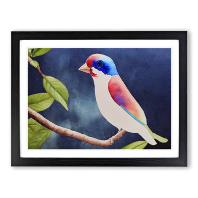 Grand Watercolour Bird - Single Picture Frame Print