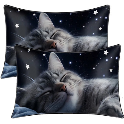 Set Of 2 Cat & Starry Sky Satin Pillowcases – Skin-Friendly, Wrinkle-Resistant Bed Pillow Covers For All Seasons，90X51Cm