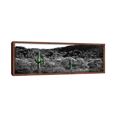 Panoramic Images by Panoramic Images - Floater Frame Panoramic Gallery-Wrapped Canvas Giclée on Canvas