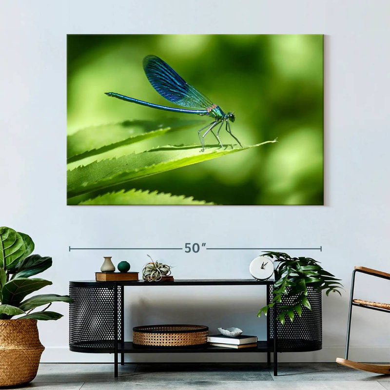 Brampt Dragonfly On A Leaf, 34" H x 51" W