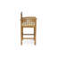 Set Of 2 Outdoor Barstools With Cushions