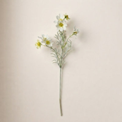 Audet Cornflower Stems