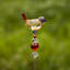 Willetton Birds Garden Stake