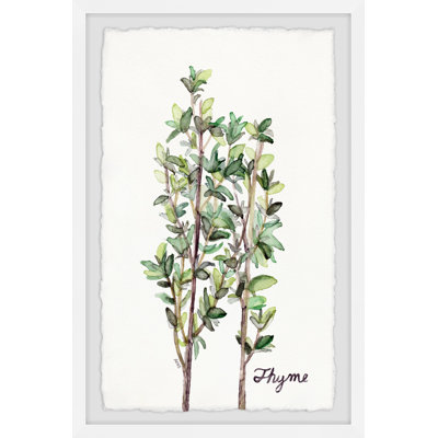 Herb Trio Triptych C - 12X18