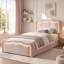 3FT Single Ottoman Bed Frame with Hydraulic Storage & LED Lights-135052629