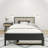 Brubaker Kids Platform with Trundle-318912513-326790048