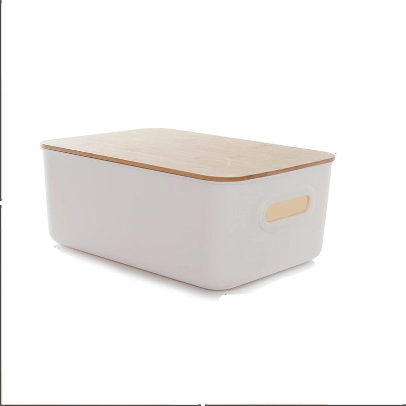Rebrilliant Plastic Bin
