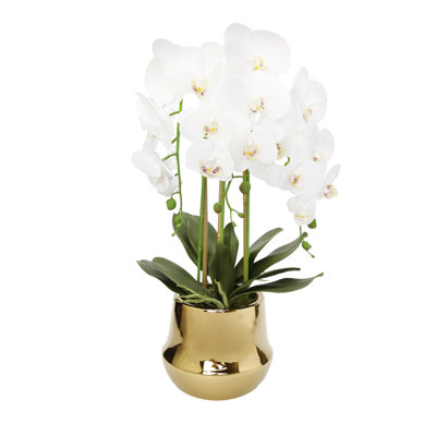 Centre de table orchidée dans un vase