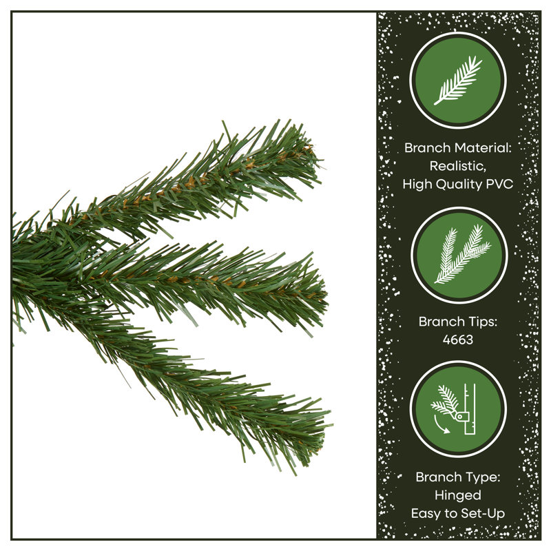 14 Ft. North Valley Spruce Tree, 12' H