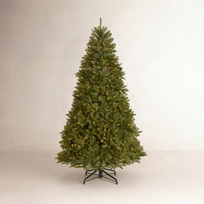 Dunhill Fir Tree with Clear Lights