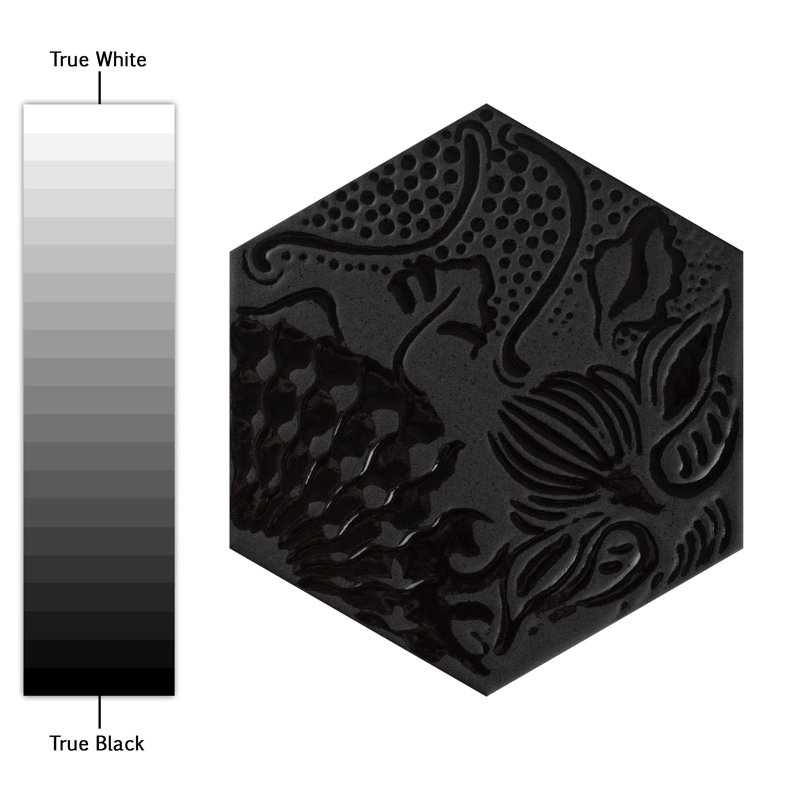 Gaudi Hex 9" x 10" Porcelain Patterned Wall & Floor Tile, Black
