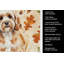 Serviette de cuisine Cavapoo-2083472353