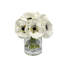 Anemone In Vase