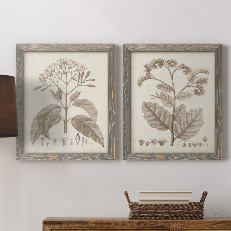 Antique sépia botanicals II, toile encadrée de qualité supérieure - prête à être accrochée, H 24 po x l 36 po x P 1,5 po