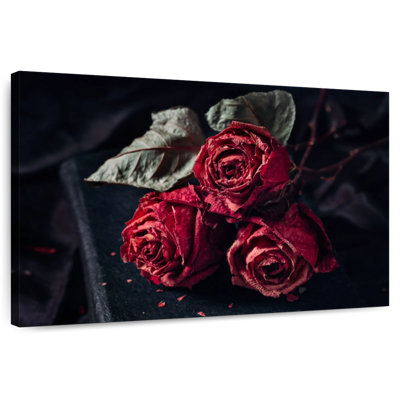 Hitzel Dried Red Roses