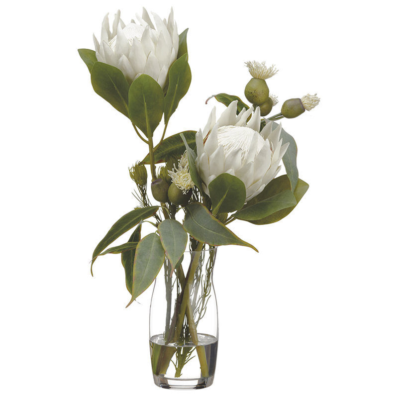 Protea / eucalyptus / wolly dans un vase H 21 po x l 12 po x L 13 po