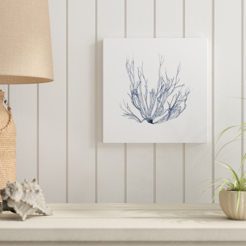 Navy Seaweed IV by Vision Studio - Wrapped Canvas Painting, 30cm H x 30cm W x 3.8cm D